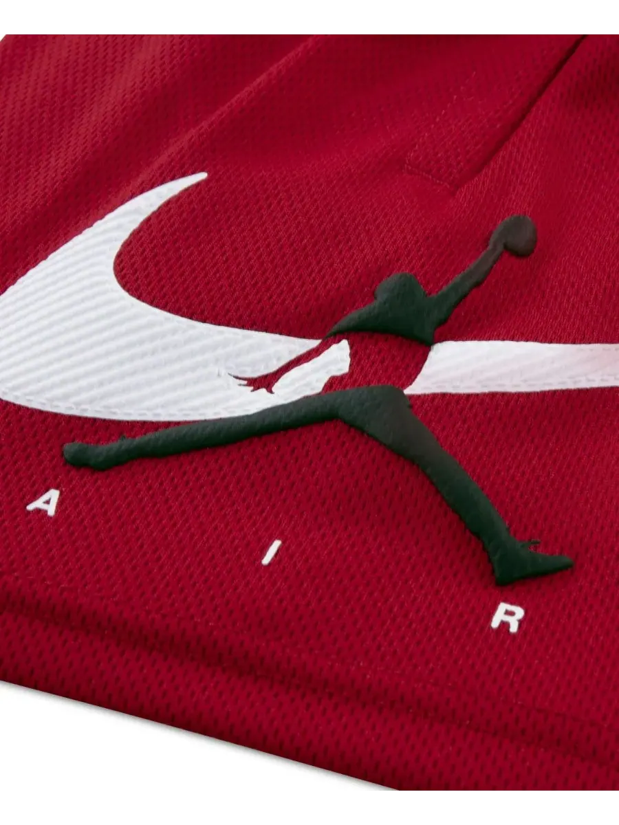 Детские шорты Arch Mesh для мальчиков 2T-4T Jordan — изображение 4 из 5, красный