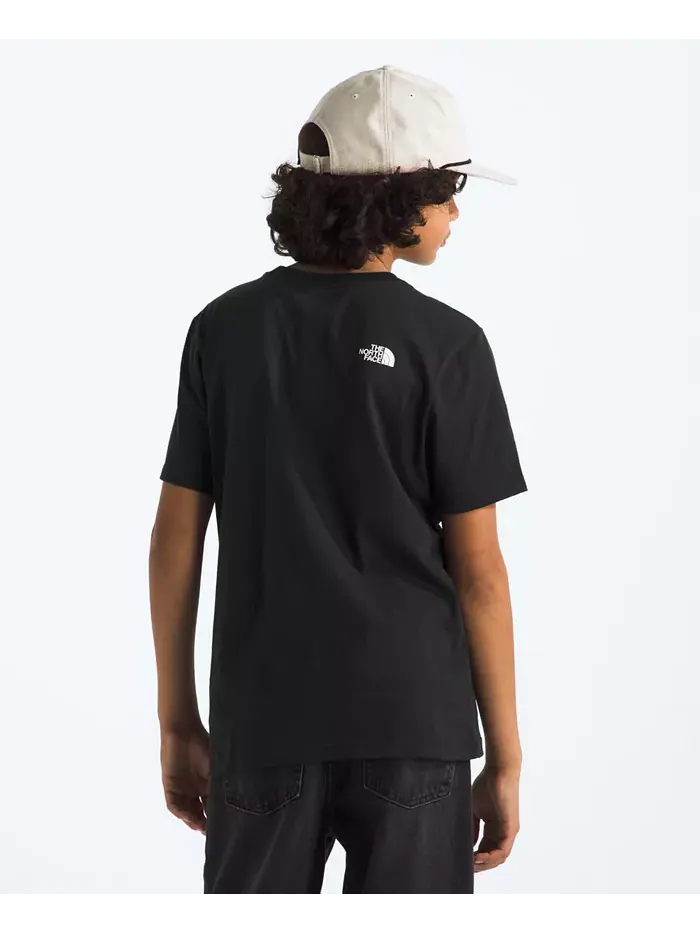 Футболка Big Boys Teen Evolution Half Dome The North Face — изображение 2 из 3, черный