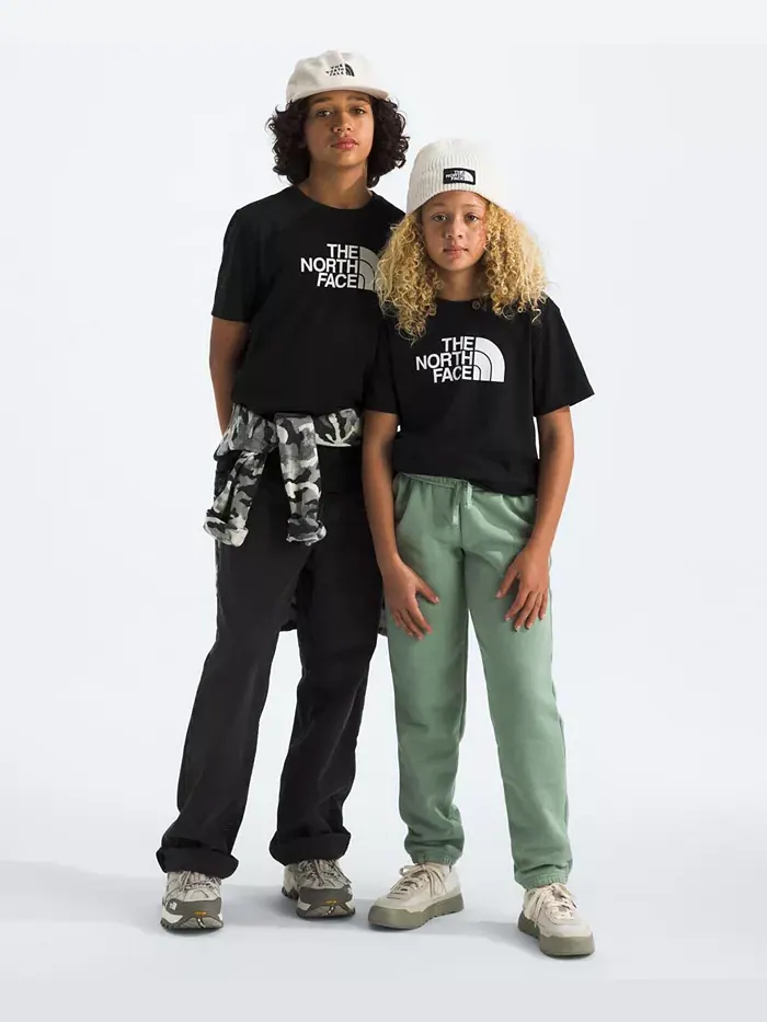 Футболка Big Boys Teen Evolution Half Dome The North Face — изображение 3 из 3, черный