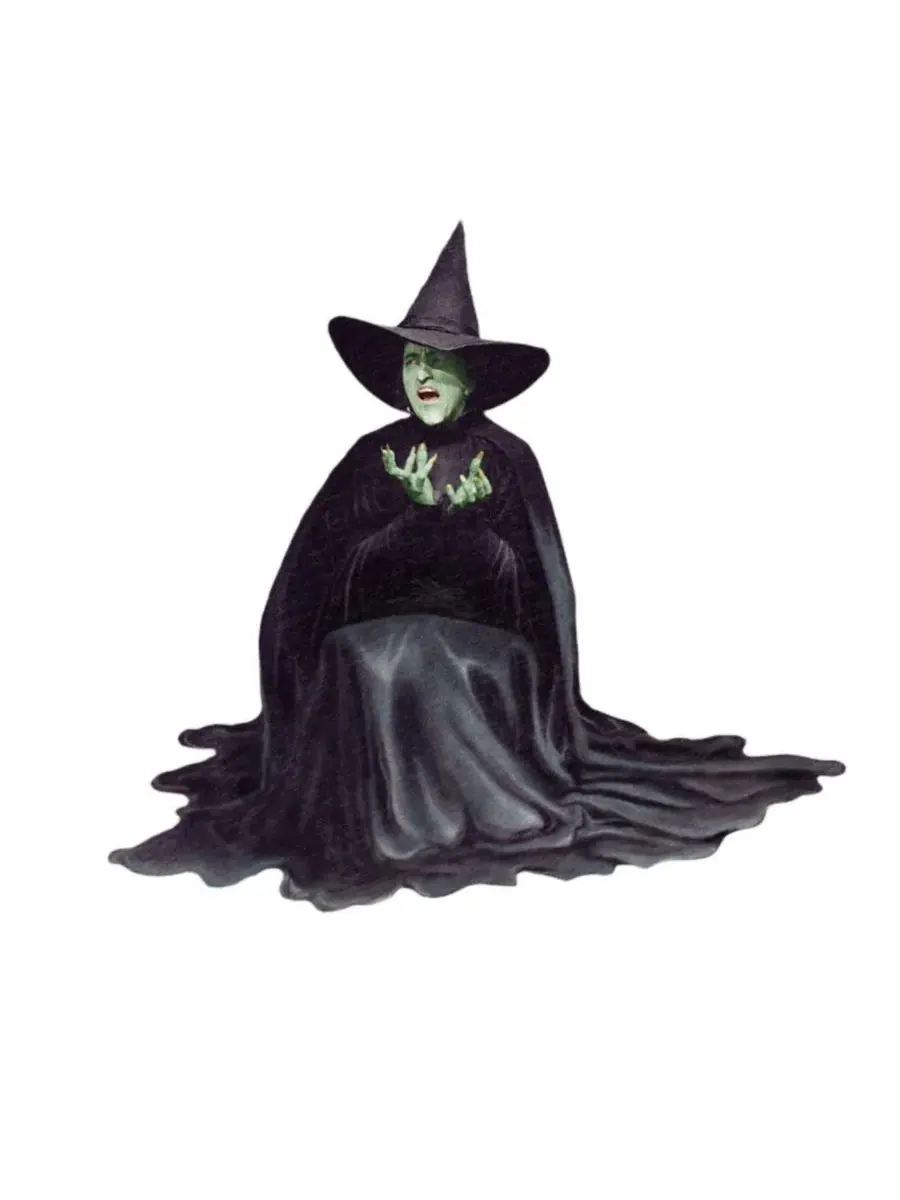 Футболка с принтом The Wicked Witch Melting Wizard Of Oz — изображение 2 из 3, приглушенный