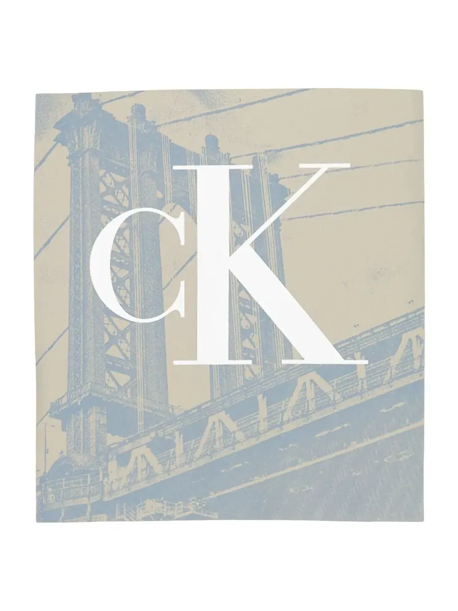 Детская футболка с круглым вырезом "Бруклинский мост" (8-20 лет) Calvin Klein — изображение 8 из 8, белый