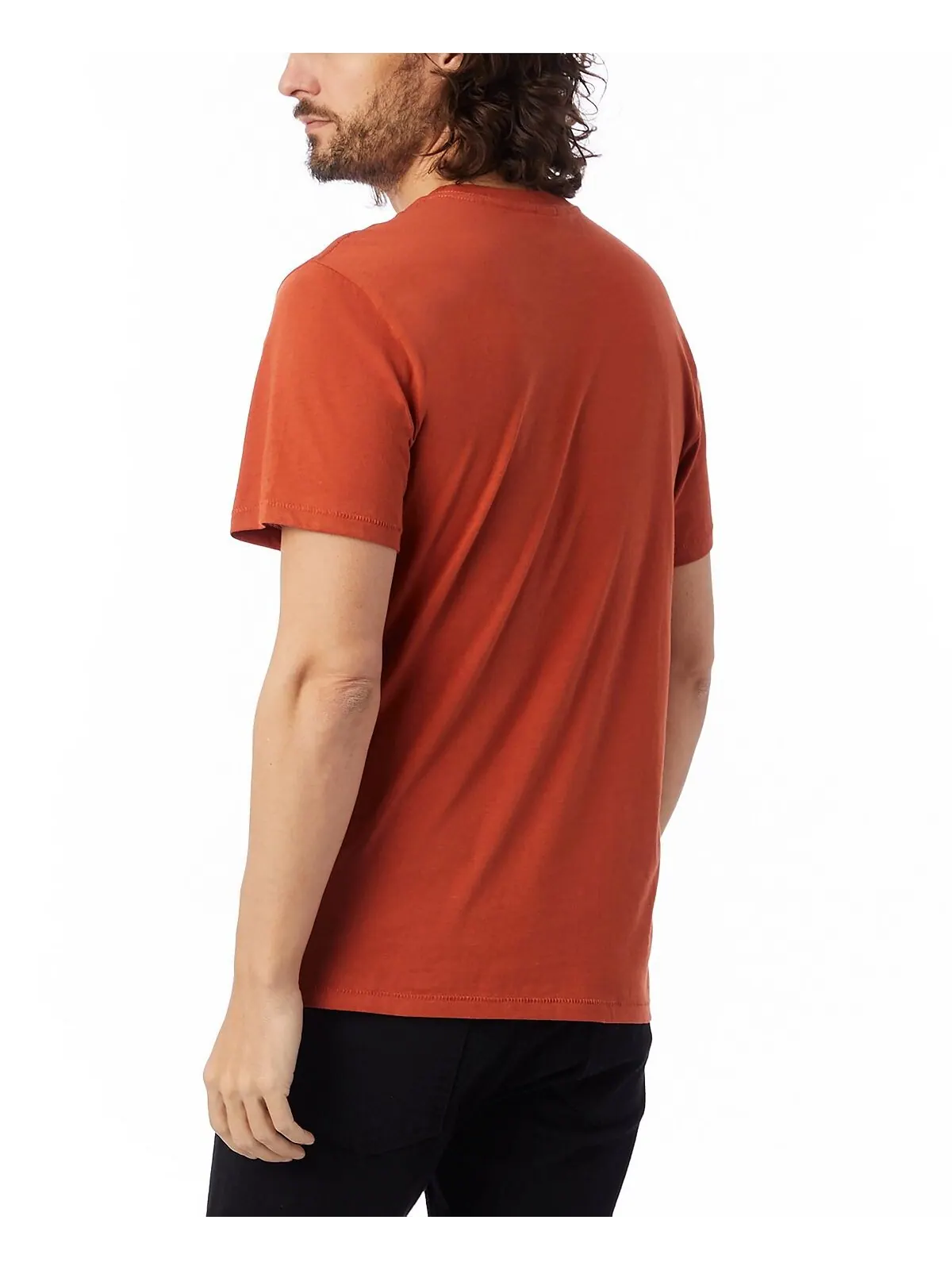 Мужская футболка с круглым вырезом Alternative Apparel — изображение 14 из 20, черный