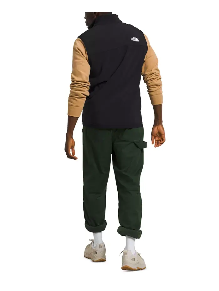 Жилет мужской Apex Bionic The North Face — изображение 2 из 3, черный