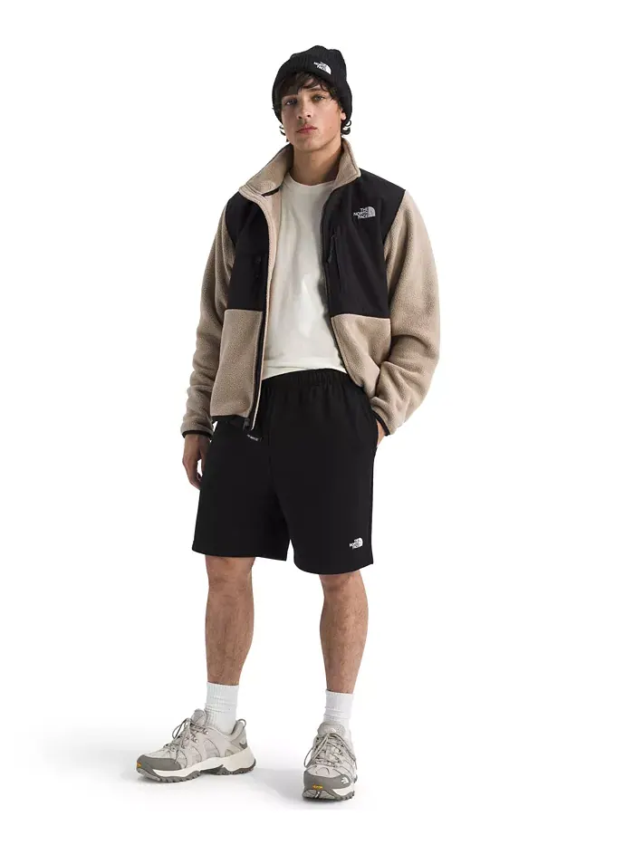 Мужские шорты Evolution Simple Dome The North Face — изображение 2 из 4, черный