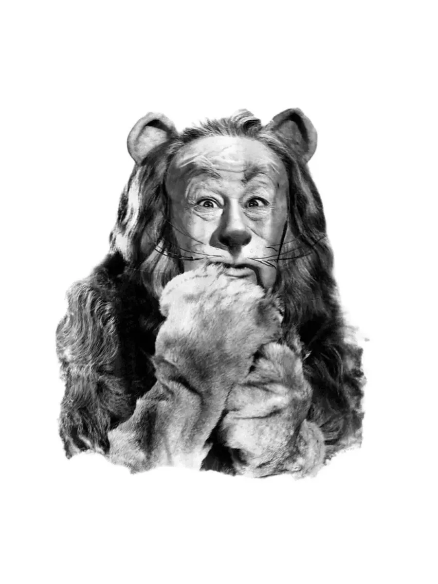 Футболка с фотографией Трусливого Льва Wizard Of Oz — изображение 2 из 3, белый