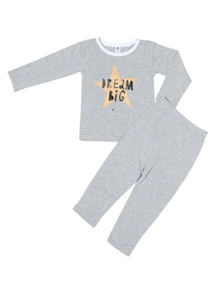 Пижамы для маленьких мальчиков и девочек, комплект из 2 предметов Earth Baby Outfitters — серый