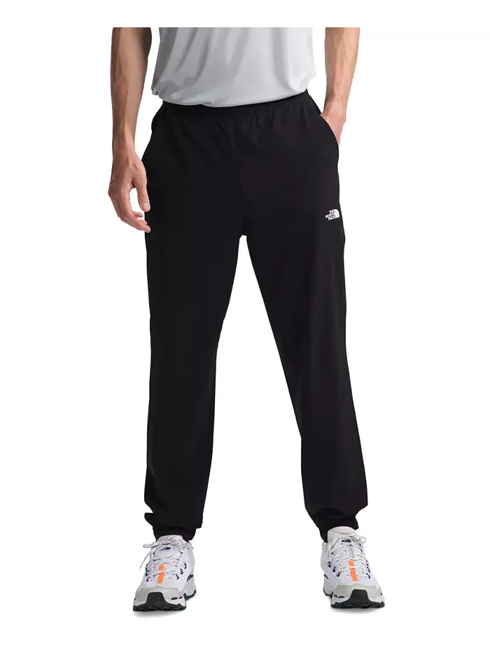 Мужские брюки Wander Jogger 2.0 The North Face