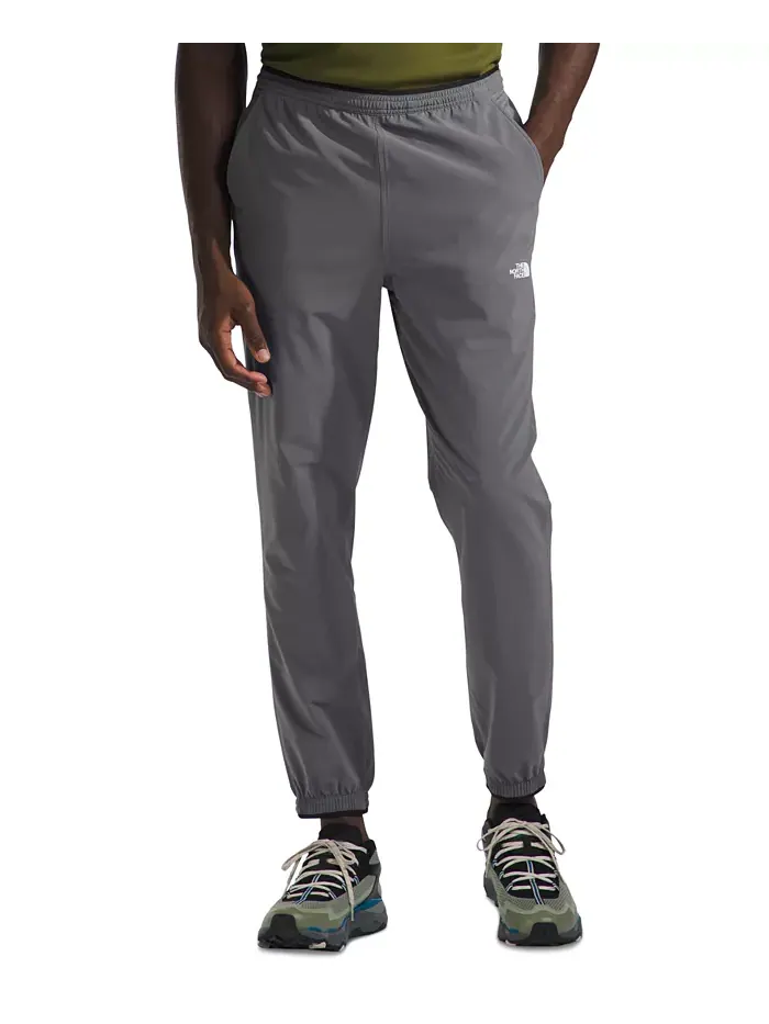 Мужские брюки Wander Jogger 2.0 The North Face