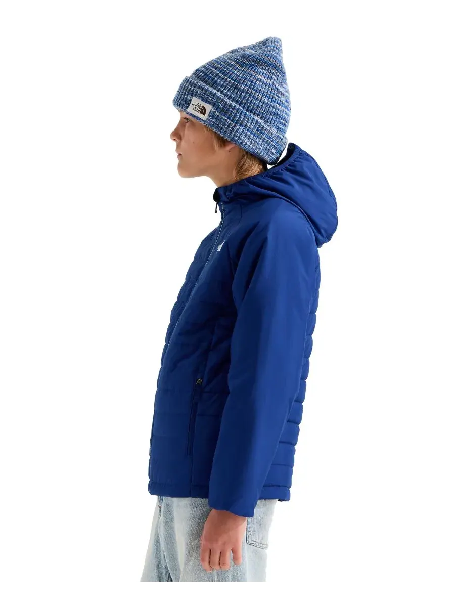 Куртка детская с длинным рукавом, на молнии, с капюшоном, Never Stop The North Face — изображение 3 из 4, синий