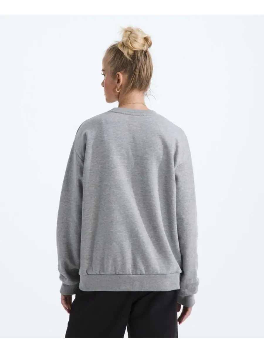 Женская толстовка Evolution Simple Dome Oversized Crewneck The North Face — изображение 3 из 3, бледный серый