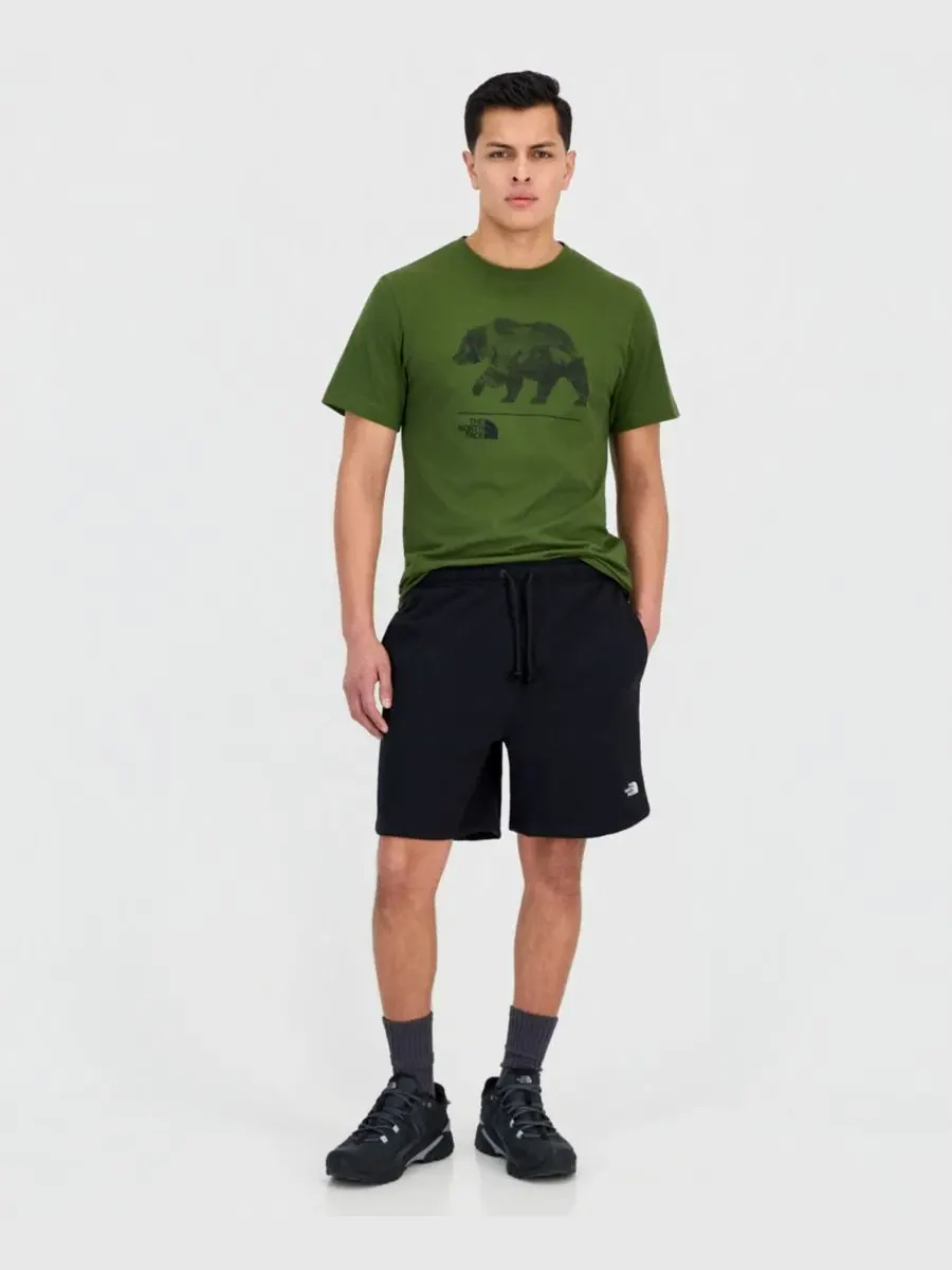 Мужские шорты Core Half Dome The North Face