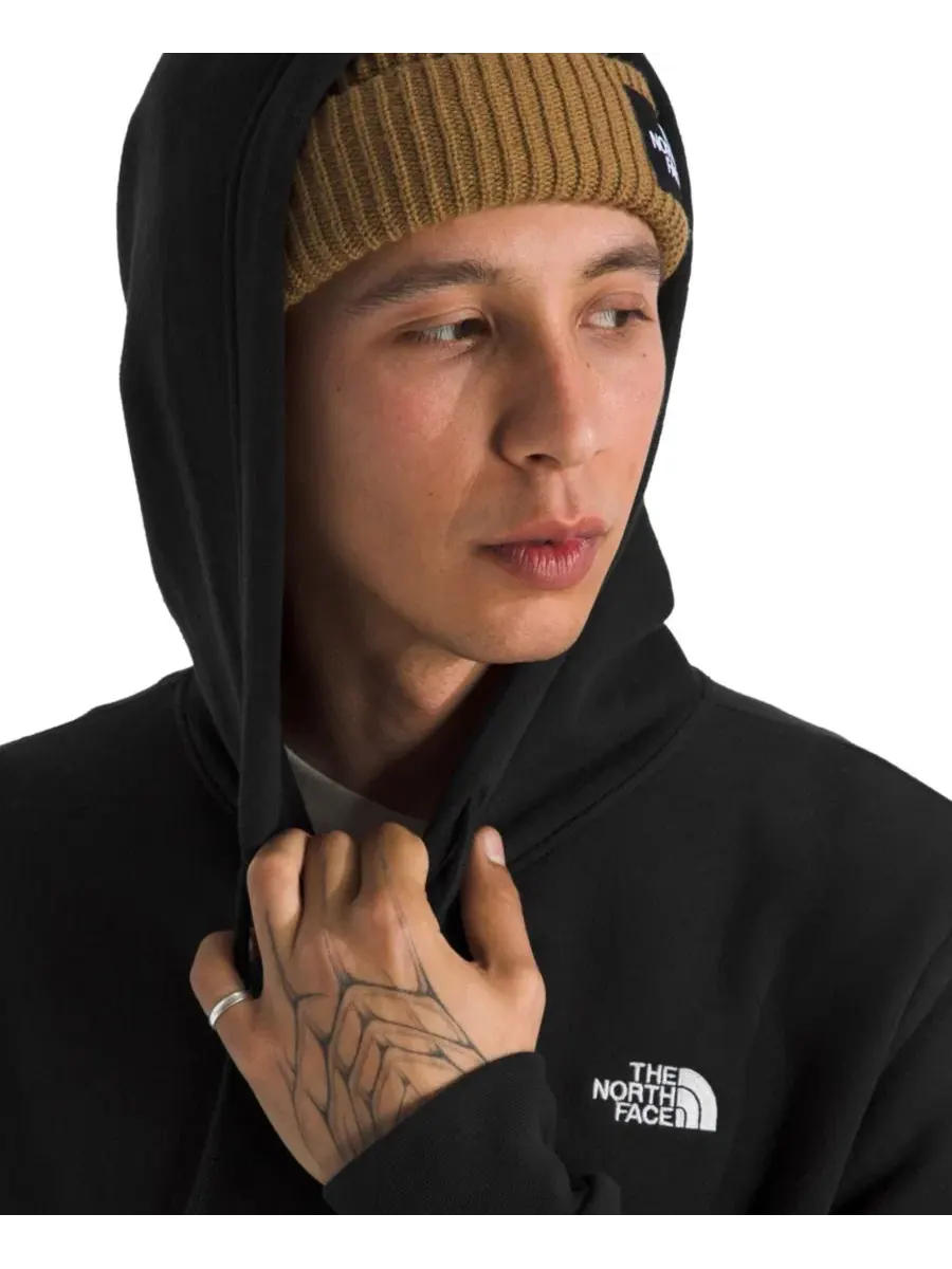 Мужская толстовка Evolution Simple Dome Regular-Fit The North Face — изображение 3 из 4, черный