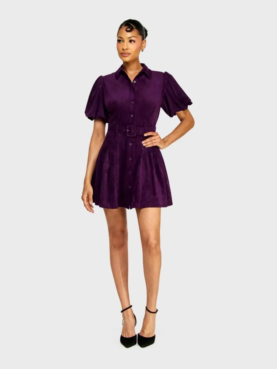 Платье мини с поясом и пуговицами спереди, модель Button-Front Suede Belted Mini Dress Alex & — изображение 2 из 6