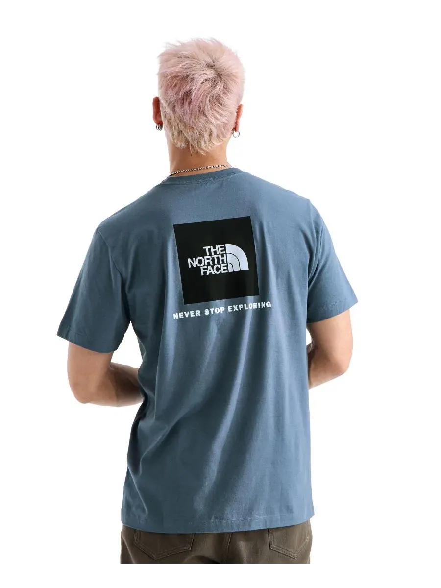 Футболка с графическим принтом Evolution Box Never Stop Exploring The North Face — изображение 1 из 3, серый