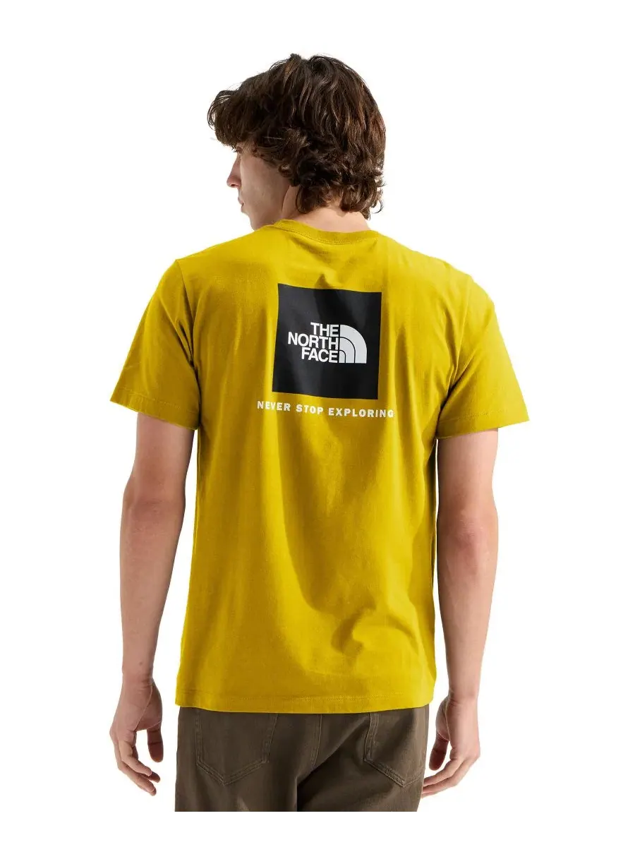 Футболка с графическим принтом Evolution Box Never Stop Exploring The North Face — изображение 1 из 3, желтый