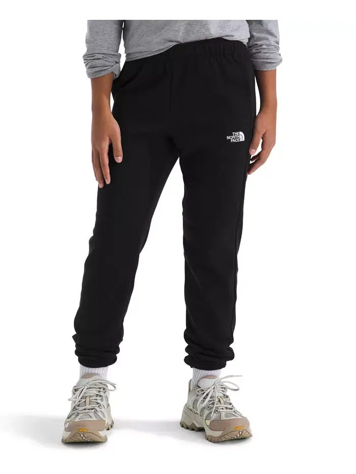 Брюки Big Boys Teen Evolution The North Face