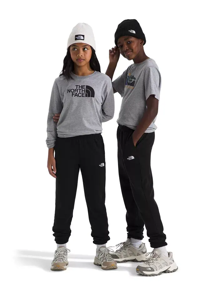 Брюки Big Boys Teen Evolution The North Face — изображение 2 из 2, черный