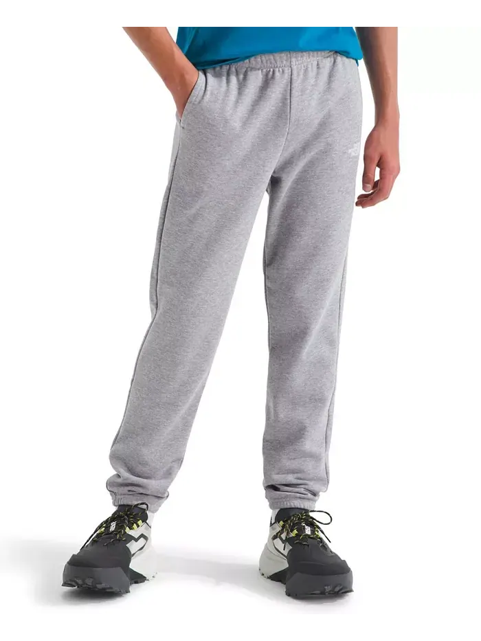 Брюки Big Boys Teen Evolution The North Face