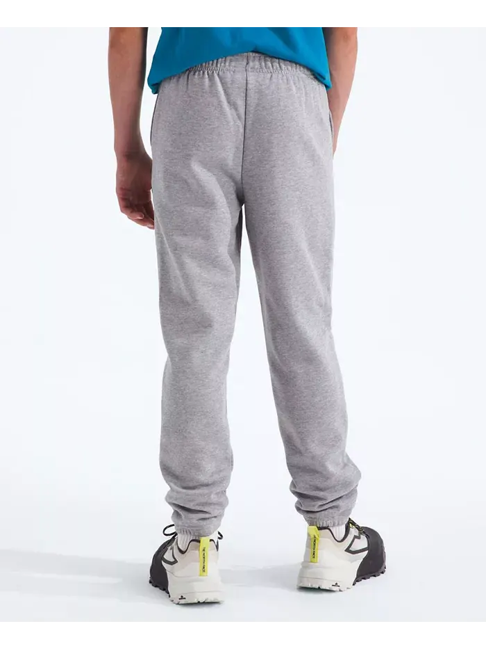 Брюки Big Boys Teen Evolution The North Face — изображение 2 из 3, серый