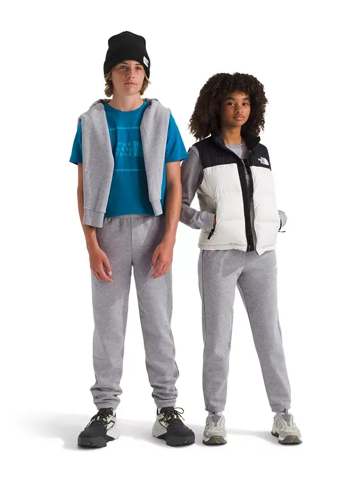 Брюки Big Boys Teen Evolution The North Face — изображение 3 из 3, серый