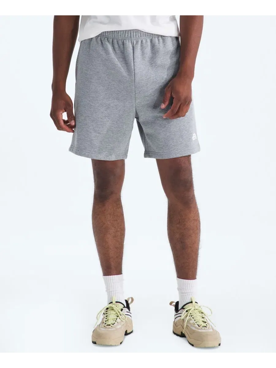 Мужские шорты Evolution Simple Dome Regular-Fit The North Face