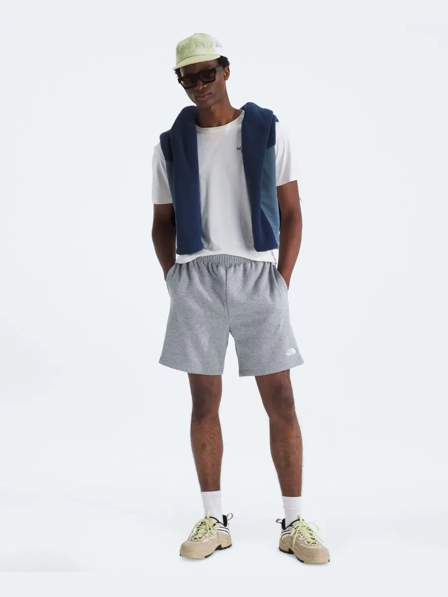 Мужские шорты Evolution Simple Dome Regular-Fit The North Face — изображение 2 из 4, бледный серый