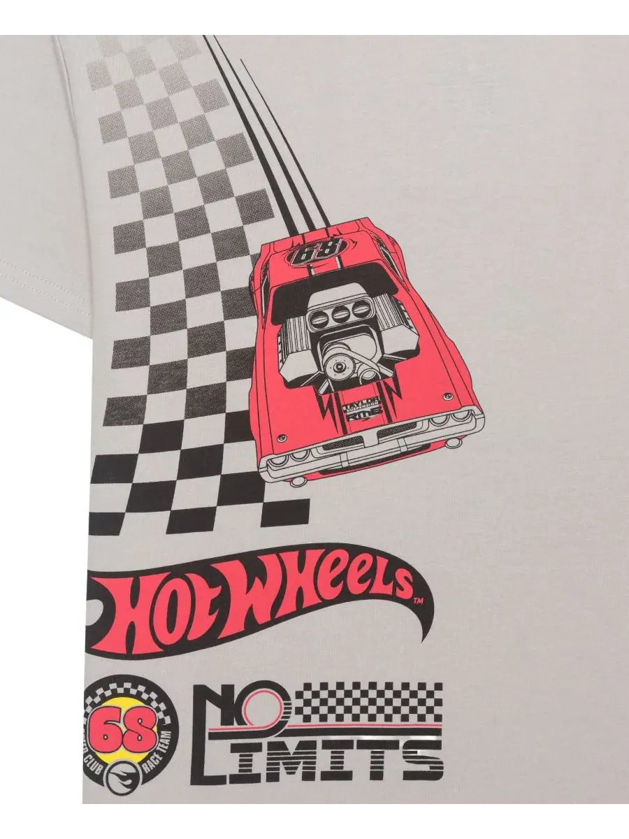 Детская футболка с круглым вырезом Legends Tour для мальчиков 5-20 лет Hot Wheels — изображение 4 из 4, серый