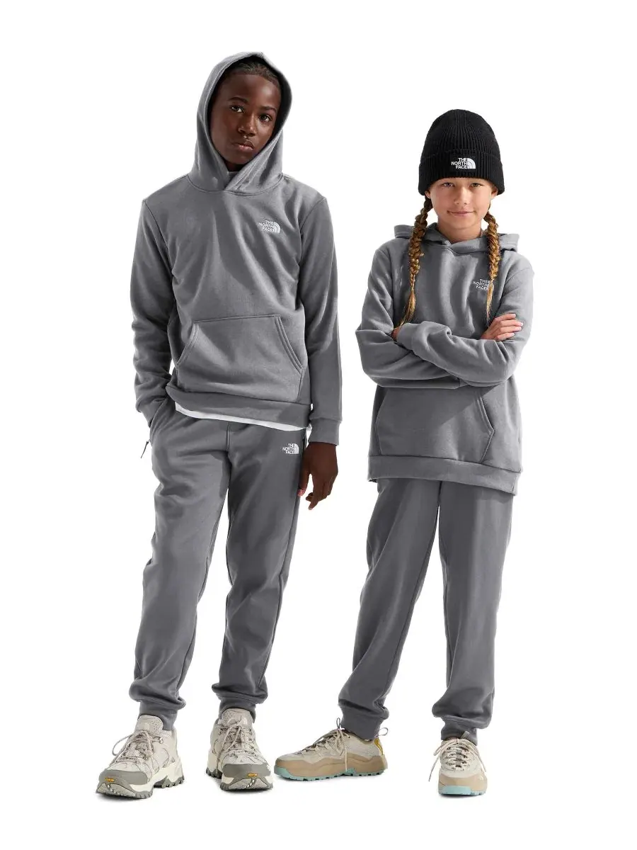 Худи-пуловер с капюшоном Evolution Simple Dome The North Face — изображение 2 из 4, бледный серый