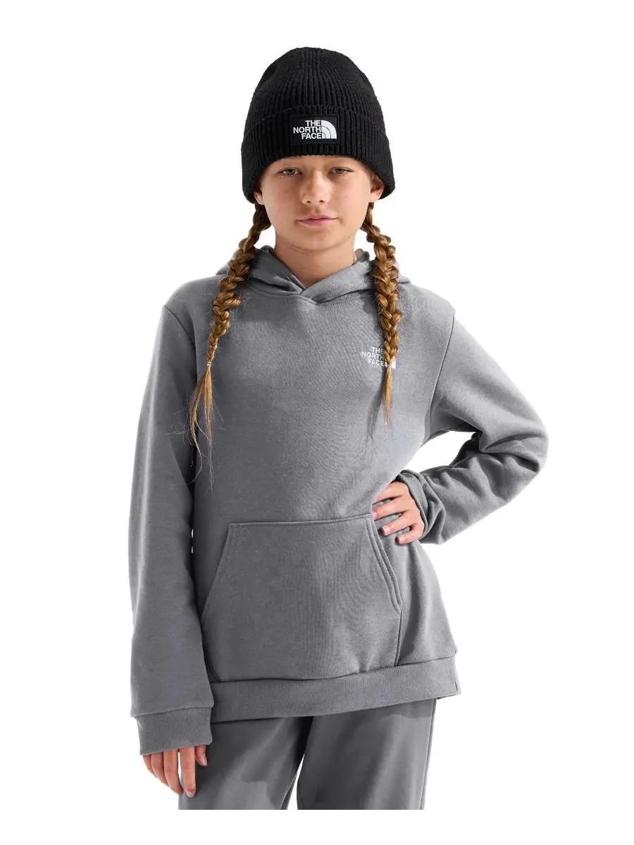 Худи-пуловер с капюшоном Evolution Simple Dome The North Face — изображение 3 из 4, бледный серый
