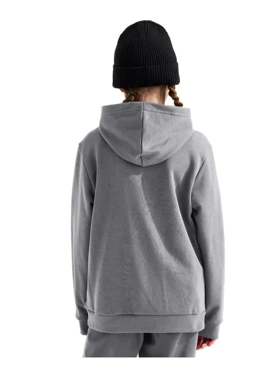 Худи-пуловер с капюшоном Evolution Simple Dome The North Face — изображение 4 из 4, бледный серый