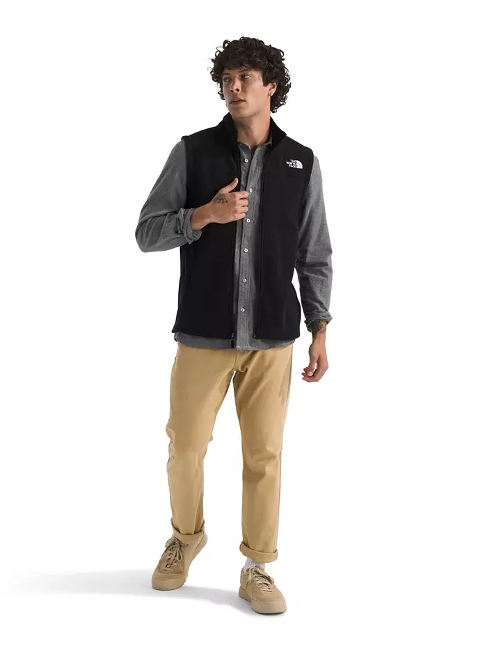 Мужской жилет Gordon Lyons The North Face — изображение 2 из 4, черный