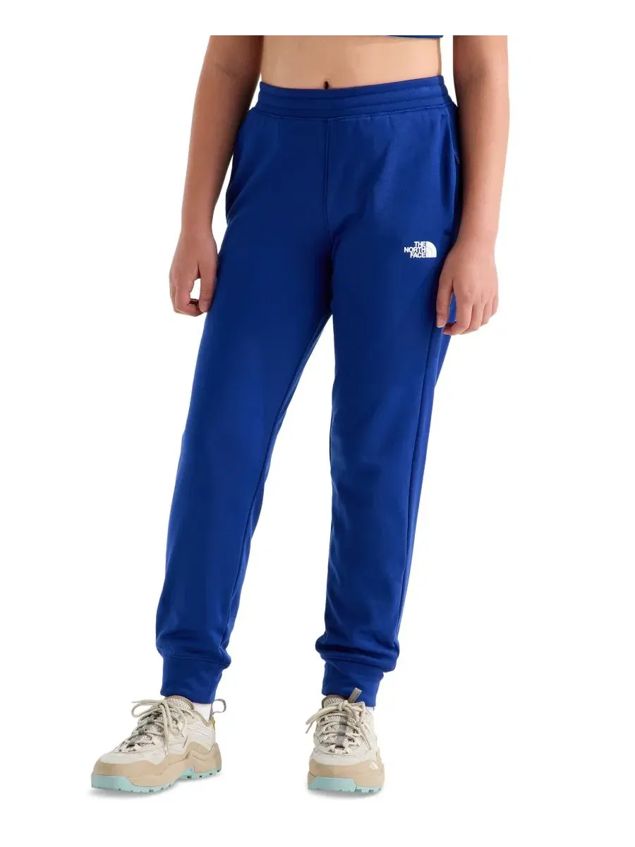 Флисовые джоггеры Performance Fleece Joggers The North Face — изображение 3 из 5, синий
