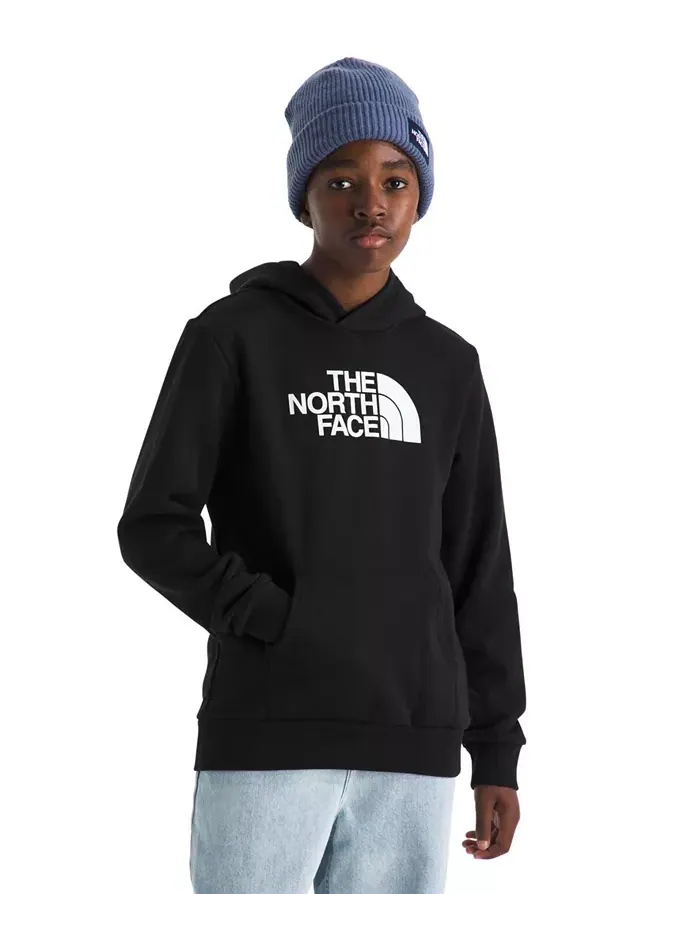 Эволюция больших парней худи с капюшоном Half Dome на молнии The North Face
