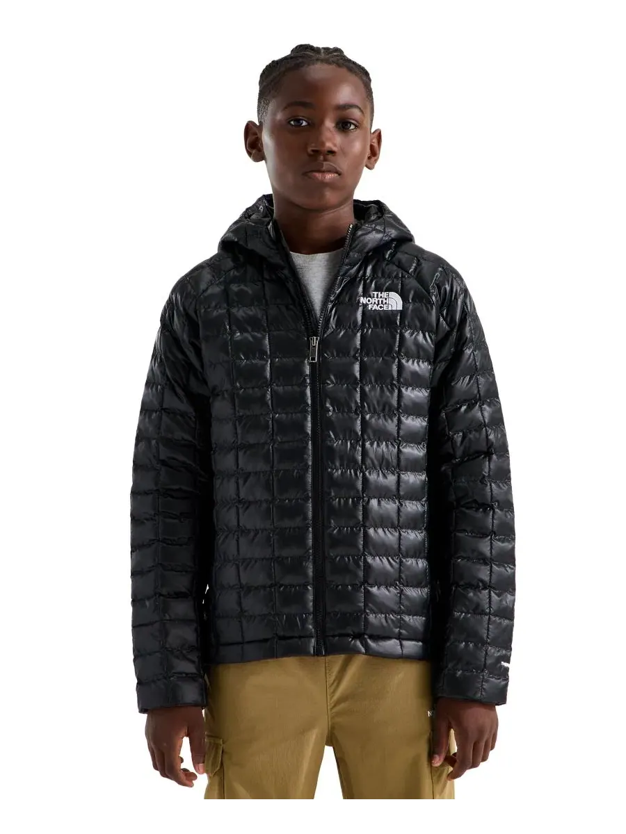 Куртка Thermoball Hooded с длинным рукавом The North Face