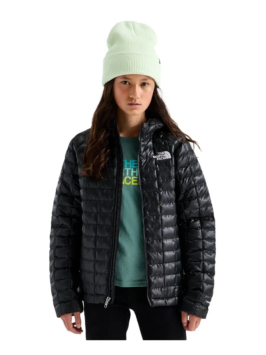 Куртка Thermoball Hooded с длинным рукавом The North Face — изображение 2 из 6, черный