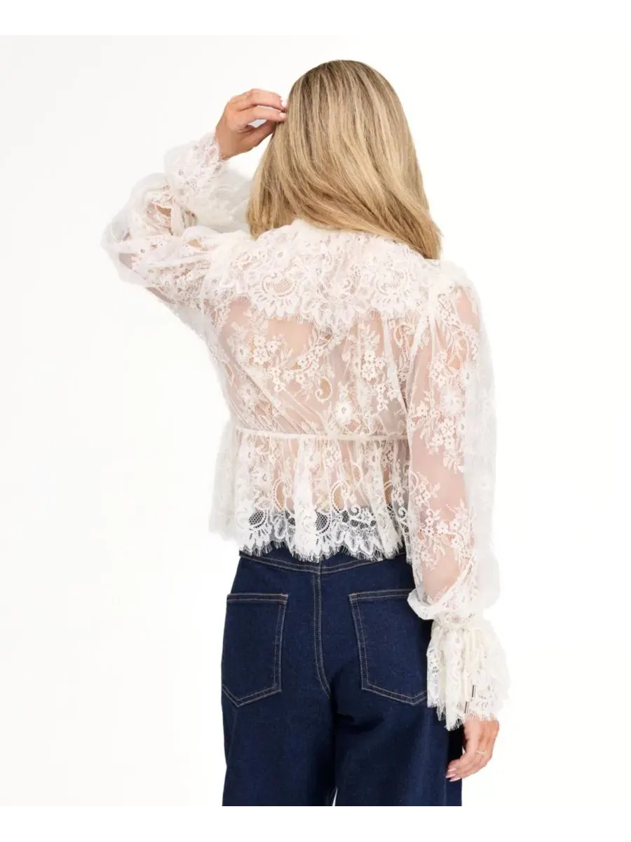 Блузка с кружевом Mila Eyelash Lace Long-Sleeve V-Neck Blouse Kittenish — изображение 5 из 6, цапля