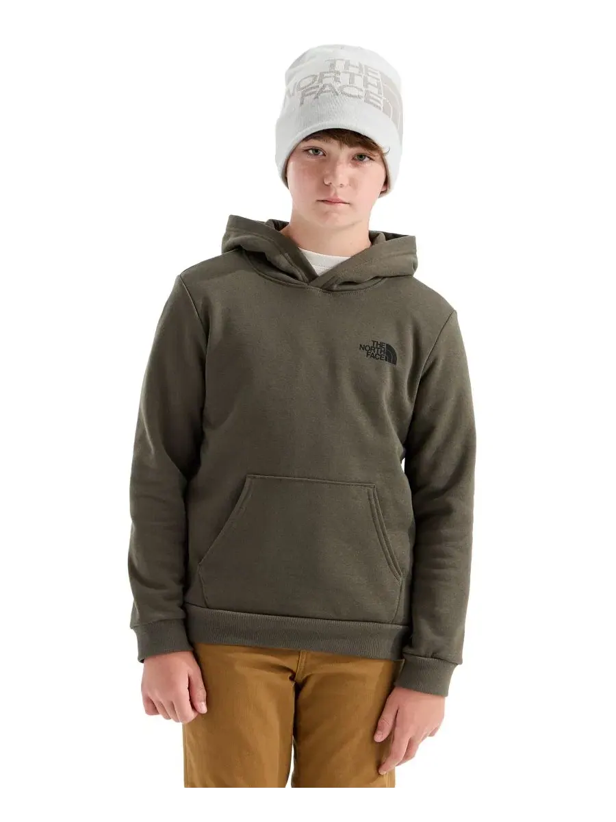 Худи с капюшоном с длинным рукавом The North Face
