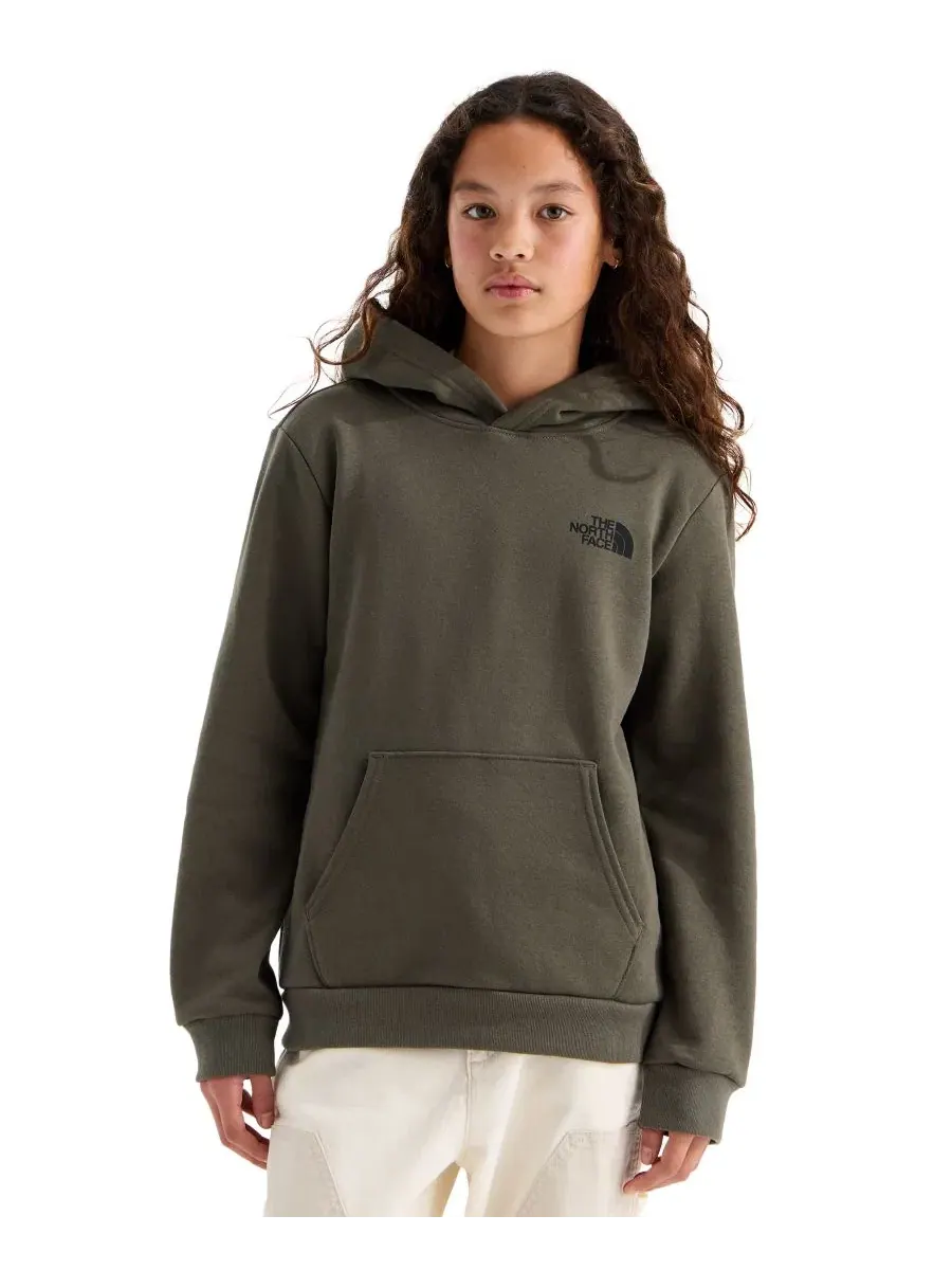 Худи с капюшоном с длинным рукавом The North Face — изображение 2 из 3, зеленый