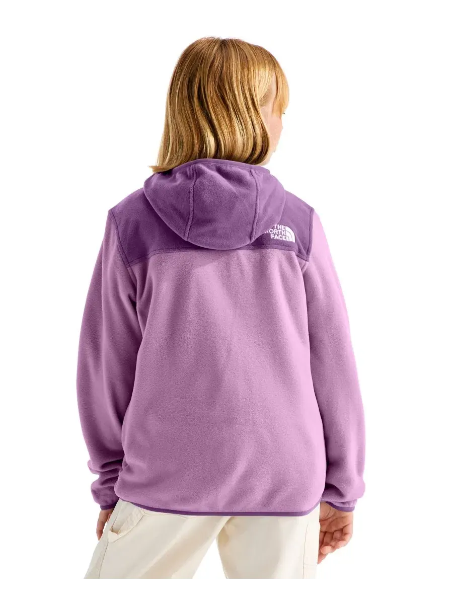 Детская куртка-худи с капюшоном Glacier Full-Zip The North Face — изображение 5 из 5, фиолетовый
