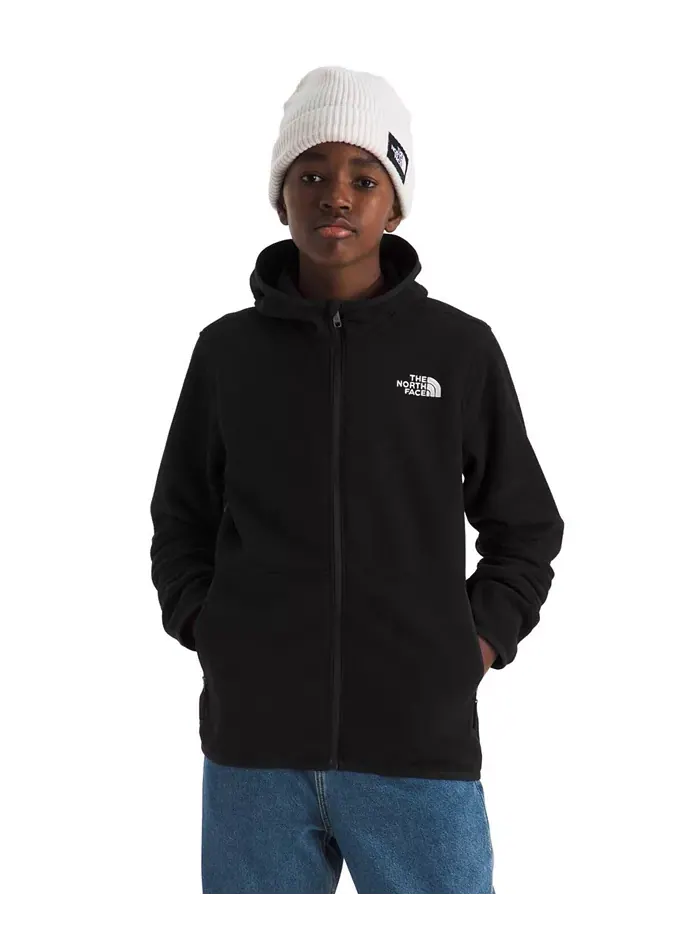 Большие парни ледник худи с полной молнией The North Face