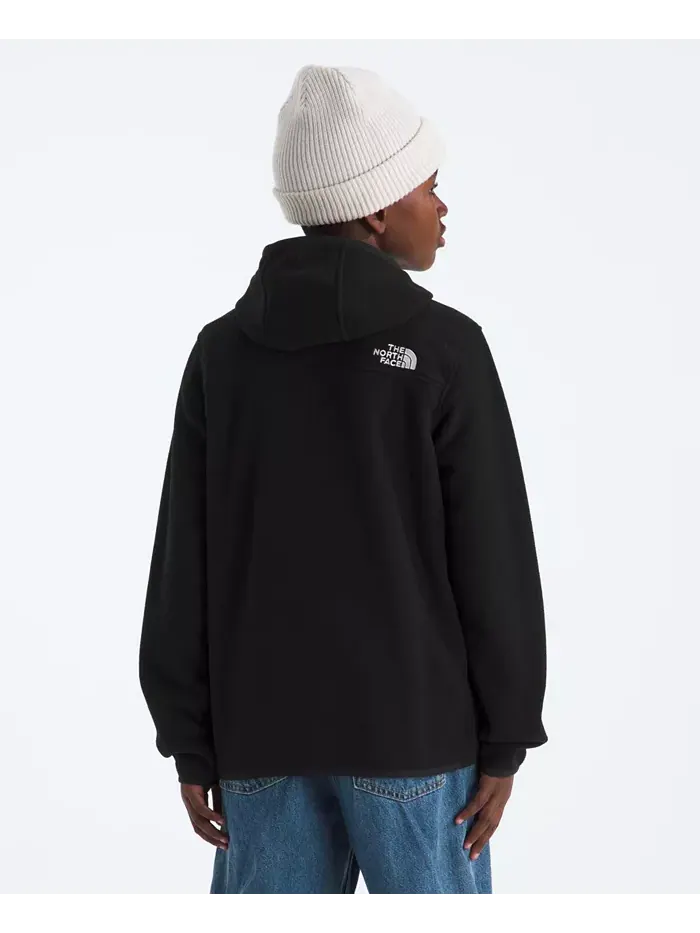 Большие парни ледник худи с полной молнией The North Face — изображение 3 из 4, черный
