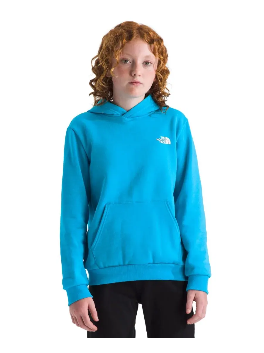 Толстовка Evolution Box Pull-On для мальчиков и девочек 7-20 лет The North Face — изображение 3 из 4, синий
