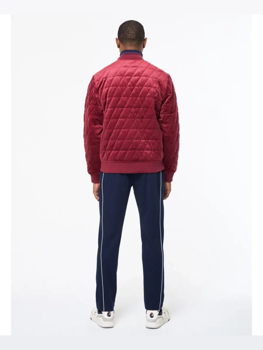 Куртка-бомбер из велюра с утеплителем Redi Quilted Velour Bomber Jacket Sergio Tacchini — изображение 4 из 5, райхор