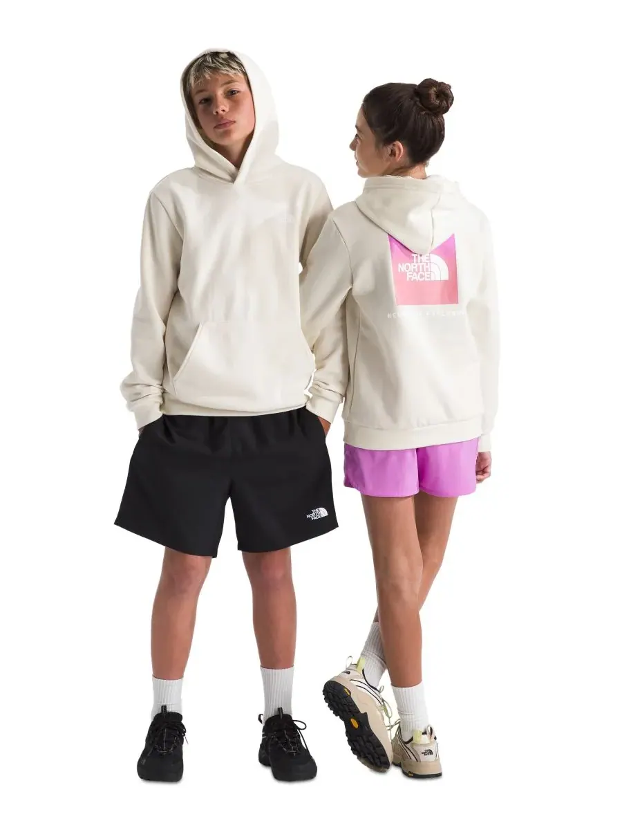 Толстовка Evolution Box NSE Pull-On для девочек и мальчиков 7-16 лет The North Face