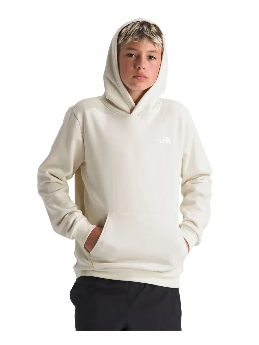 Толстовка Evolution Box NSE Pull-On для девочек и мальчиков 7-16 лет The North Face — изображение 3 из 4, белый