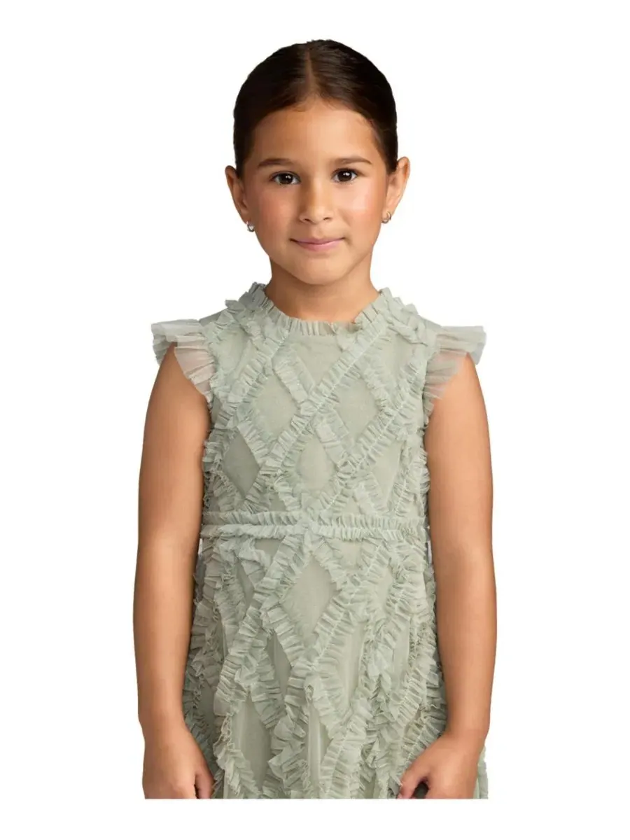 Платье миди из сетки с рюшами Big Girls Ruffle Mesh Midi Dress Mac Duggal — изображение 3 из 3, мульти