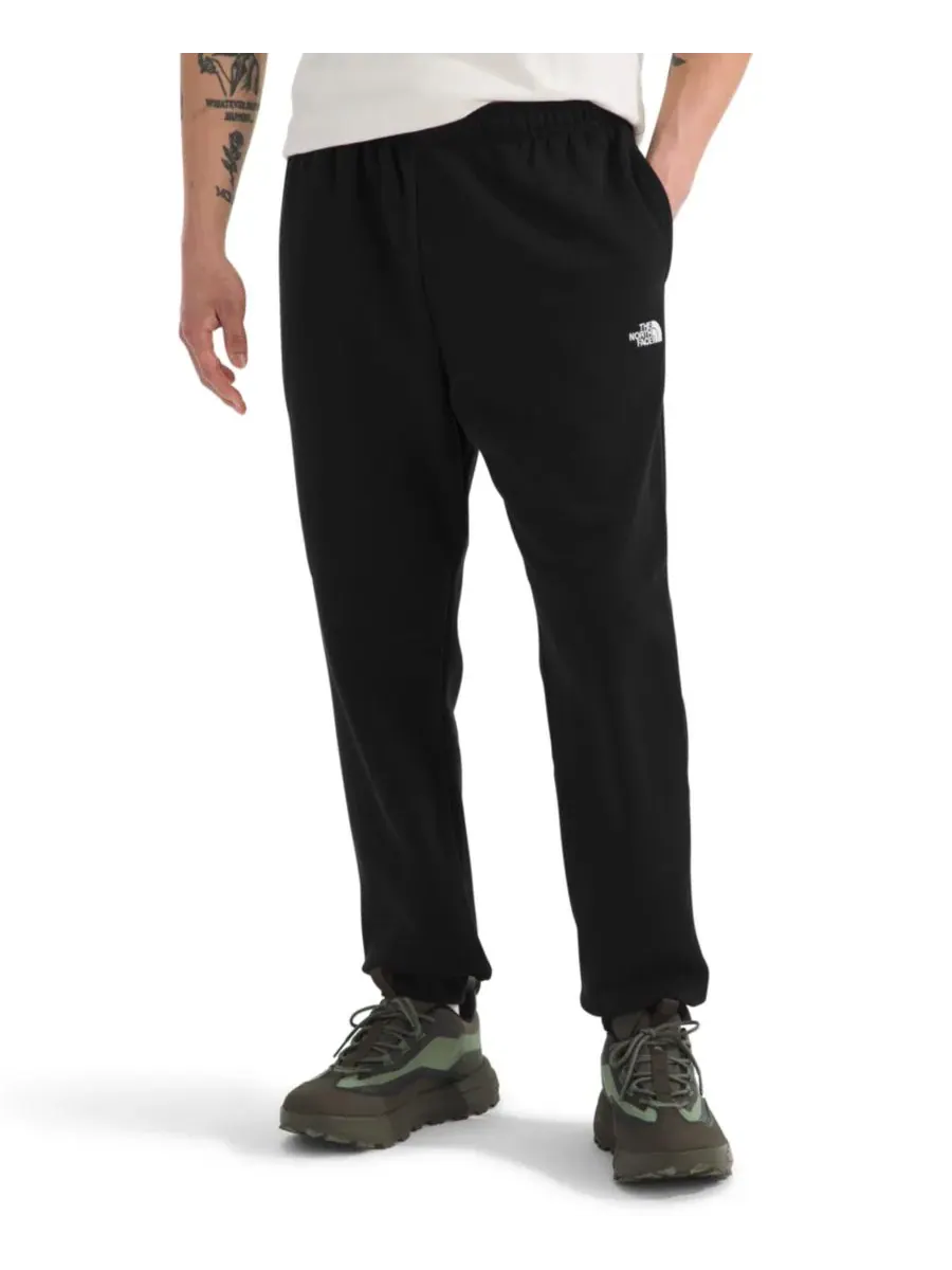 Мужские спортивные брюки Evolution Simple Dome The North Face