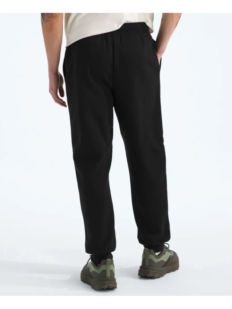 Мужские спортивные брюки Evolution Simple Dome The North Face — изображение 4 из 4, черный