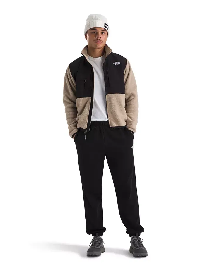 Мужские брюки Evolution Simple Dome The North Face — изображение 2 из 8, черный