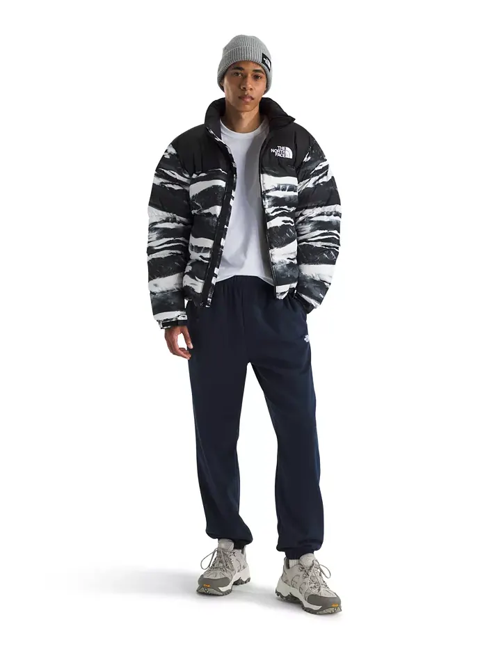 Мужские брюки Evolution Simple Dome The North Face — изображение 6 из 8, черный